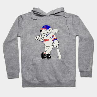 Classic Denver Bears Baseball Hoodie